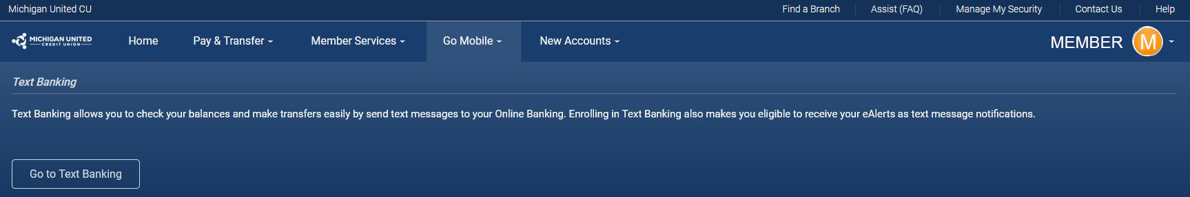 Go Mobile Tab Screenshot Online Banking